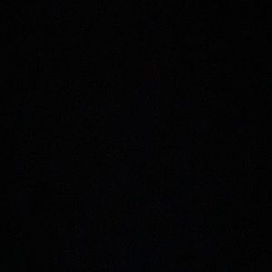 Meet your Posher, Lynn